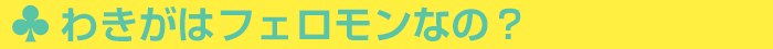 わきがはフェロモンなの?