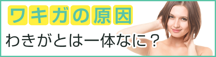 わきがとは一体なに?ワキガの原因