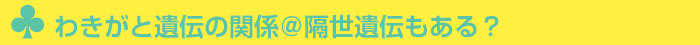 わきがと遺伝の関係@隔世遺伝もある?