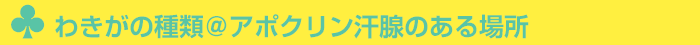 わきがの種類@アポクリン汗腺のある場所
