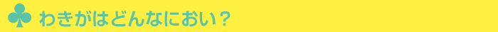 わきがはどんなにおい?