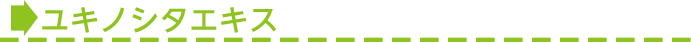 ■ユキノシタエキス
