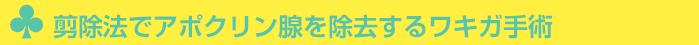 剪除法でアポクリン腺を除去するワキガ手術